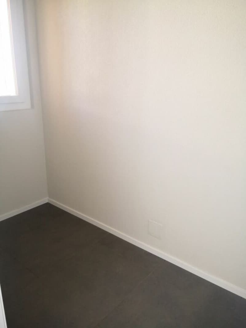 2.5 room apartment partially renovated for rent in Viganello (5)
