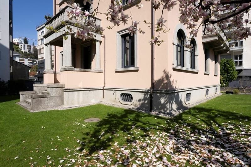 Mietwohnung im Erdgeschoss erhöht (2)