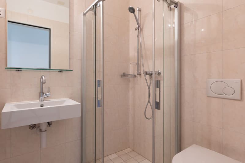 Mietwohnung in zentraler Lage, modern, 3 1/2 Zimmer (10)