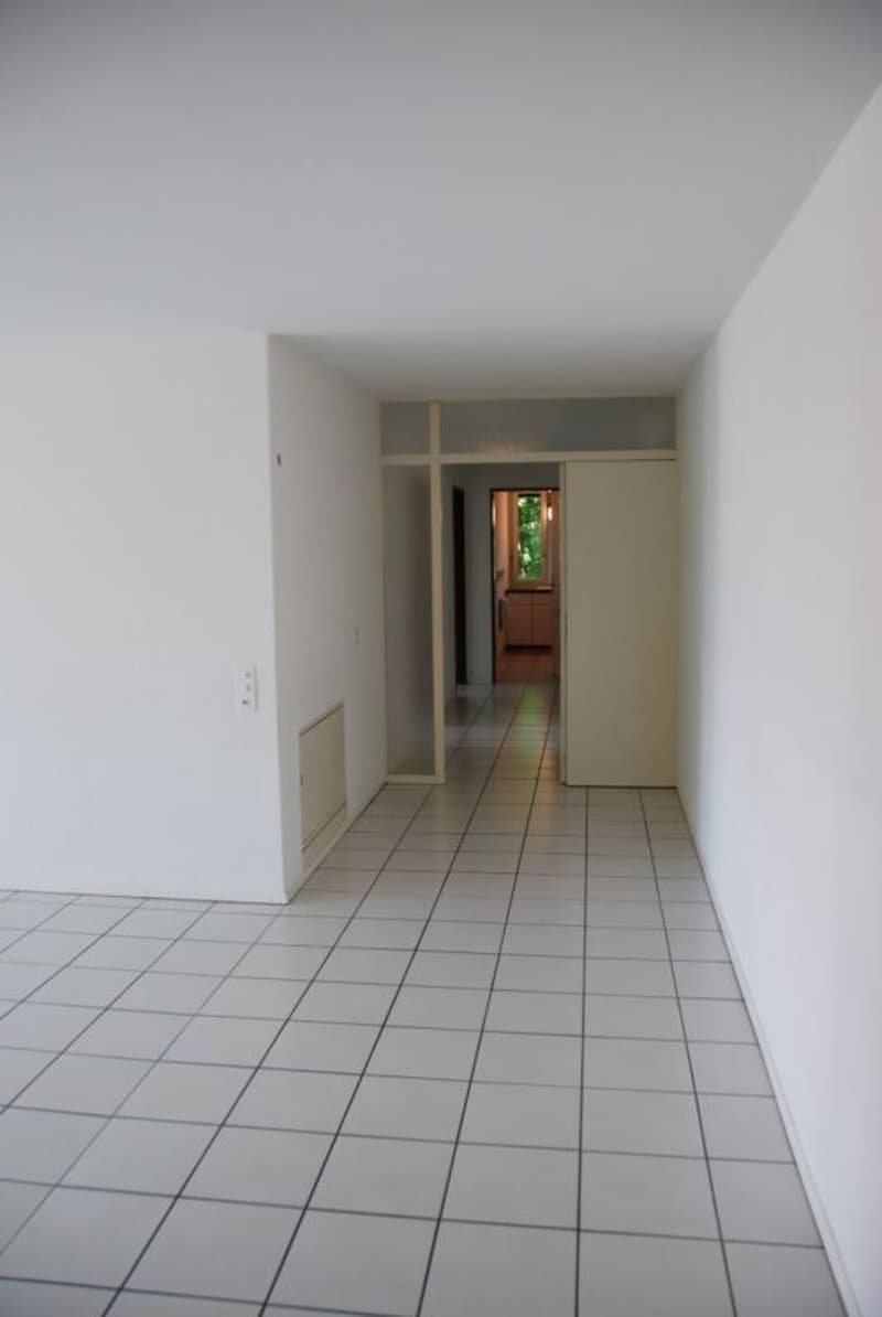Rent in Pregassona, spacious 4.5 rooms bright (7)