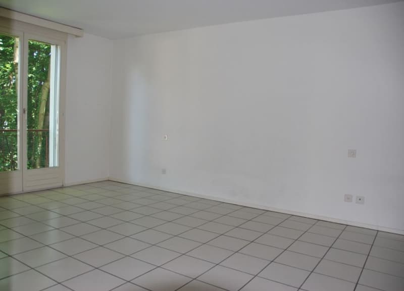 Rent in Pregassona, spacious 4.5 rooms bright (6)