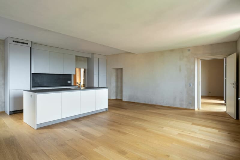 Appartement Aranno rénové au 1er étage (2)