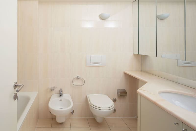 Splendido appartamento duplex di 4 1/2 locali con vista sul lago di Lugano (5)