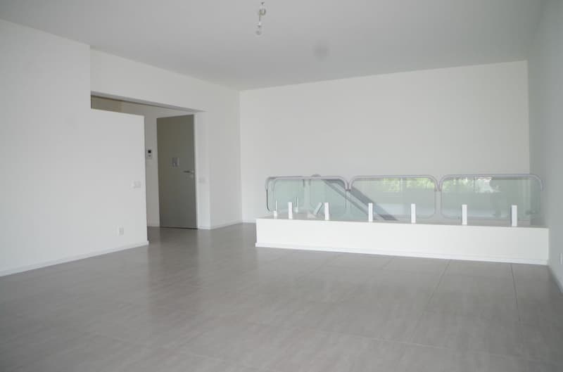 Splendido appartamento duplex di 4 1/2 locali con vista sul lago di Lugano (3)