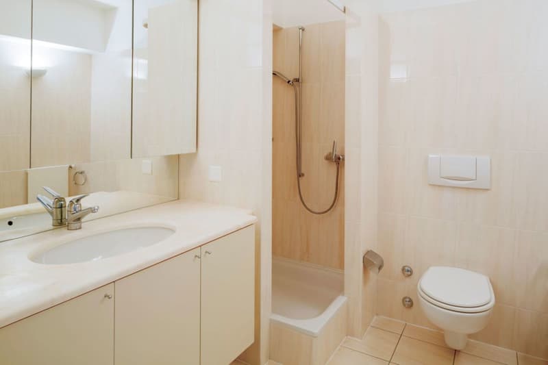 Splendido appartamento duplex di 4 1/2 locali con vista sul lago di Lugano (4)