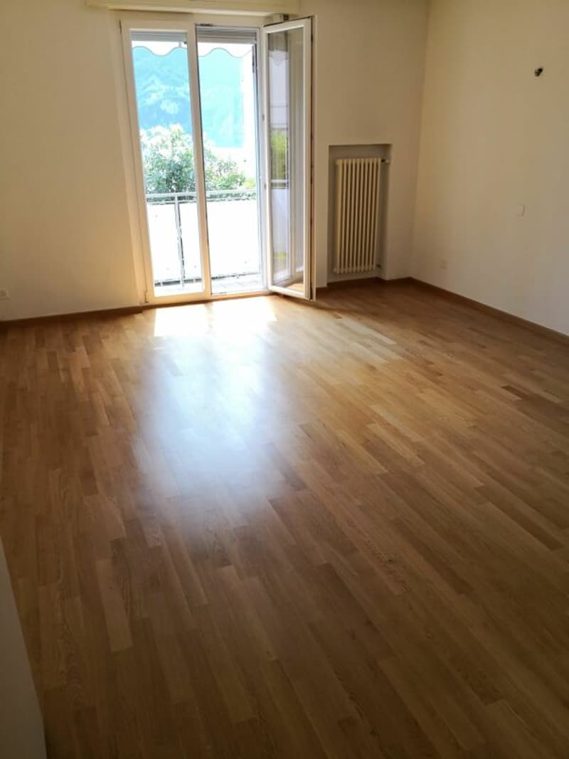 Location d'un appartement de 3 1/2 pièces avec vue sur le lac et à deux pas du LAC (4)