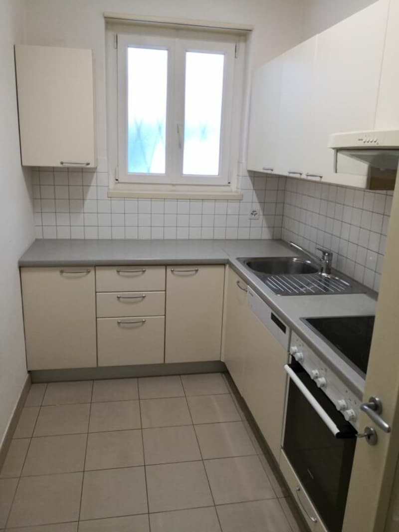 Location d'un appartement de 3 1/2 pièces avec vue sur le lac et à deux pas du LAC (5)