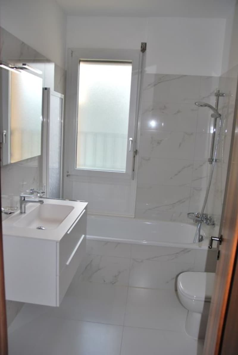 Appartement rénové récemment recherché dans le centre-ville de Lugano (7)