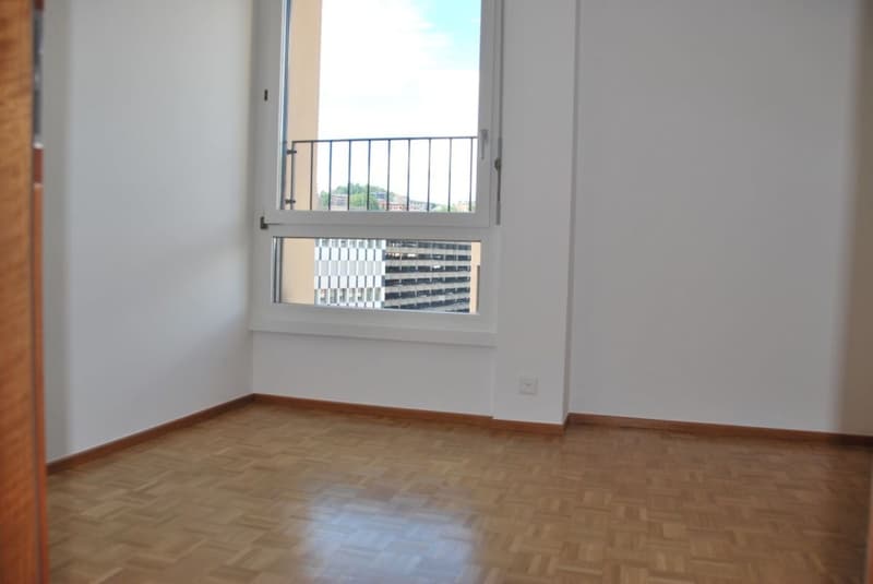 Appartement rénové récemment recherché dans le centre-ville de Lugano (10)