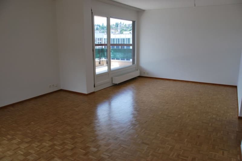 Appartement rénové récemment recherché dans le centre-ville de Lugano (4)