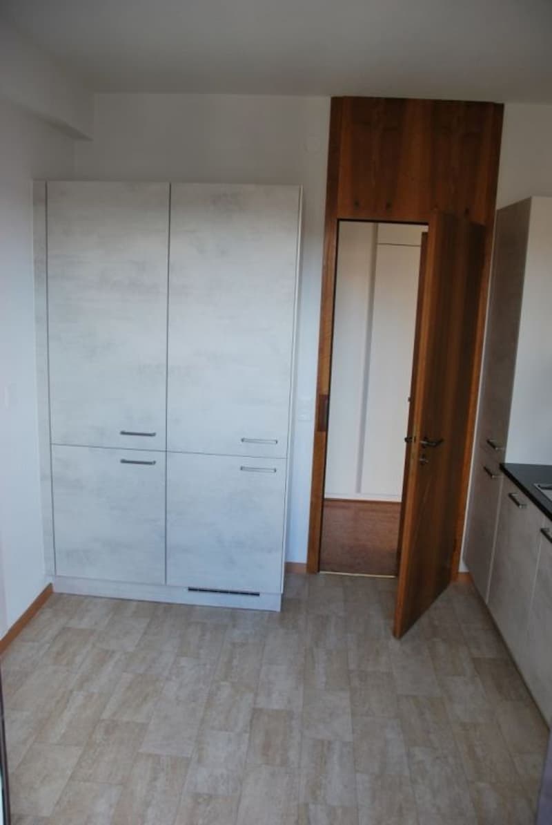 Appartement rénové récemment recherché dans le centre-ville de Lugano (3)