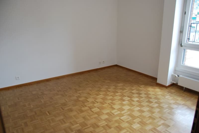 Appartement rénové récemment recherché dans le centre-ville de Lugano (8)