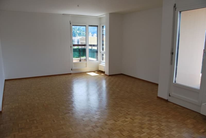 Appartement rénové récemment recherché dans le centre-ville de Lugano (5)