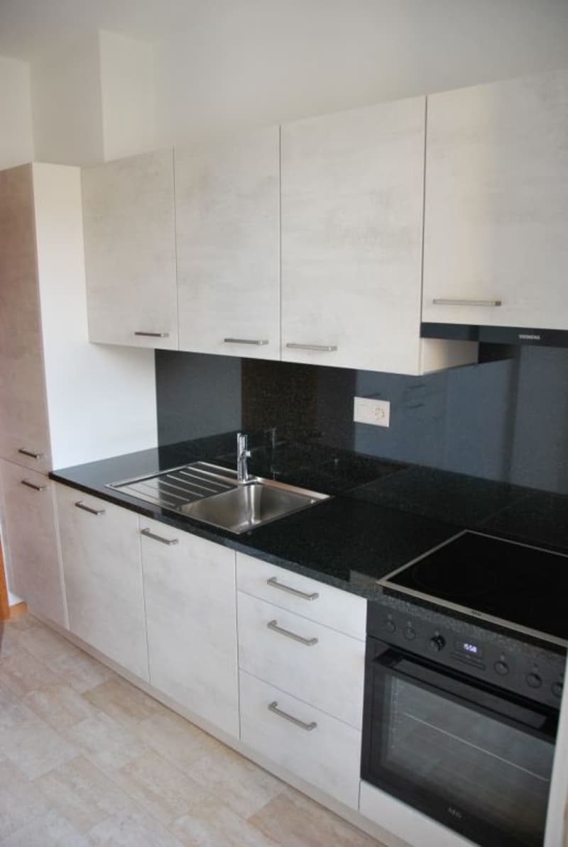 Appartement rénové récemment recherché dans le centre-ville de Lugano (2)