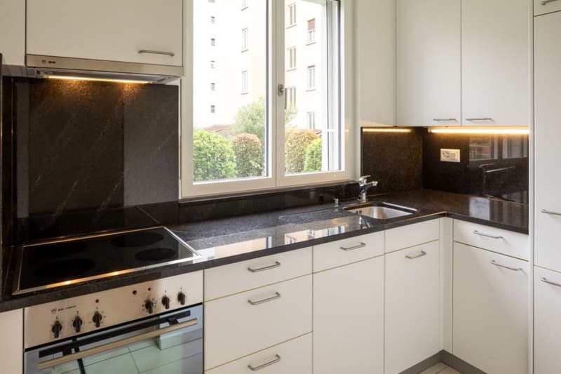 Affittasi moderno e spazioso 2 1/2 locali a Lugano (3)