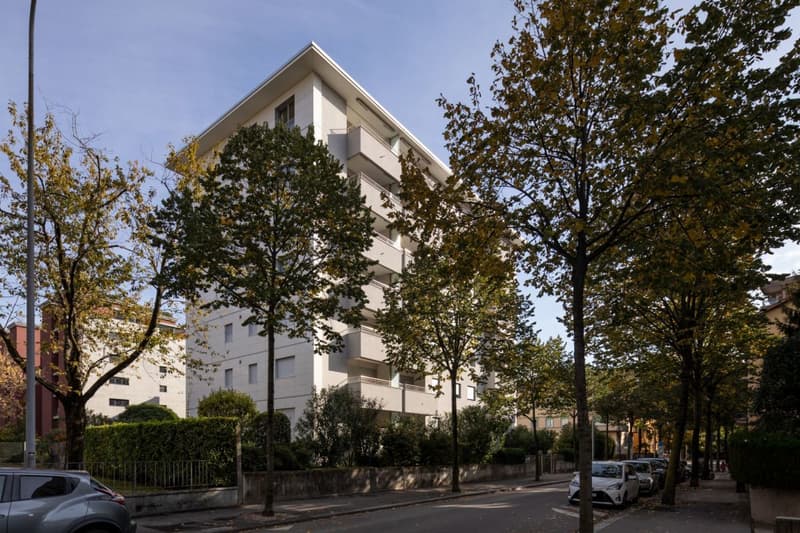 Affittasi moderno e spazioso 2 1/2 locali a Lugano (1)