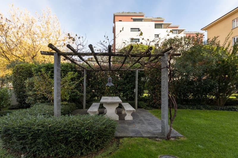 Affittasi moderno e spazioso 2 1/2 locali a Lugano (2)