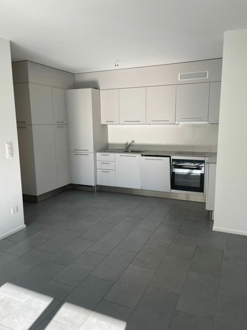 Affittasi appartamento di 2 locali via Geretta 21, Paradiso (2)