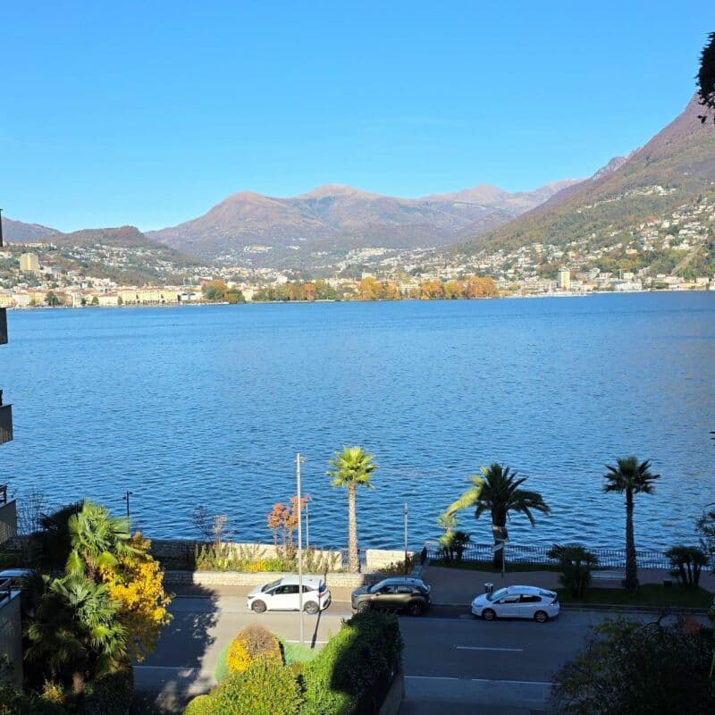 Affittasi spazioso 3.5 locali con vista lago (2)