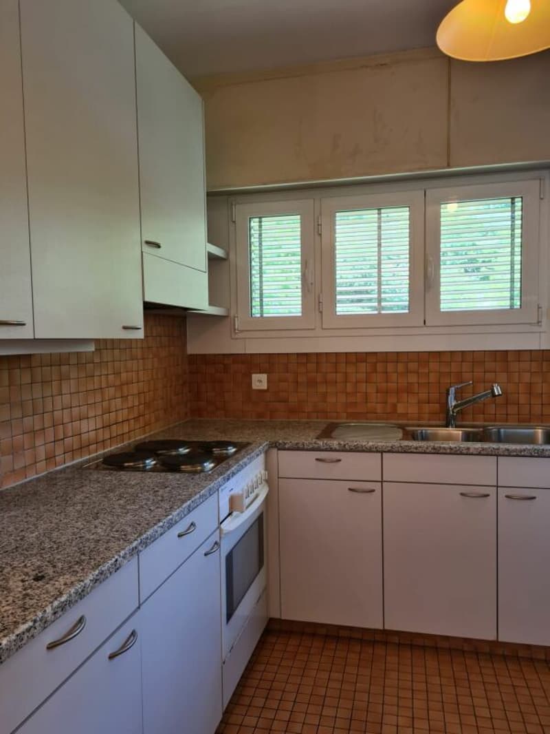 Affittasi spazioso 3.5 locali con vista lago (4)