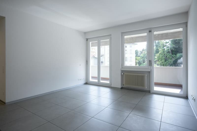 Via Trevano 7a, 6900 Lugano (4)