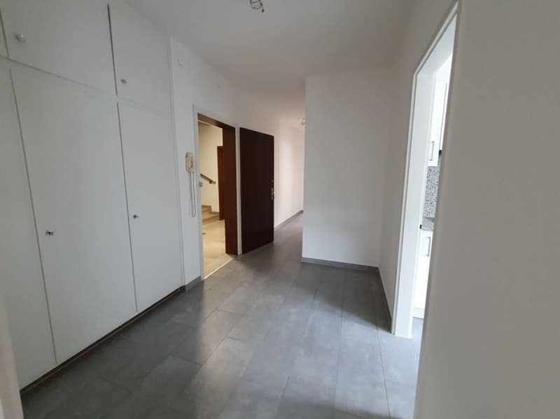 3.5 LOCALI IN POSIZIONE CENTRALE A LUGANO (5)