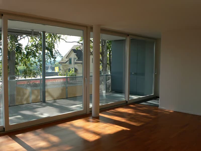 Helle 4.5-Zimmer-Wohnung mit Balkon in Dübendorf – sofort verfügbar! (1)