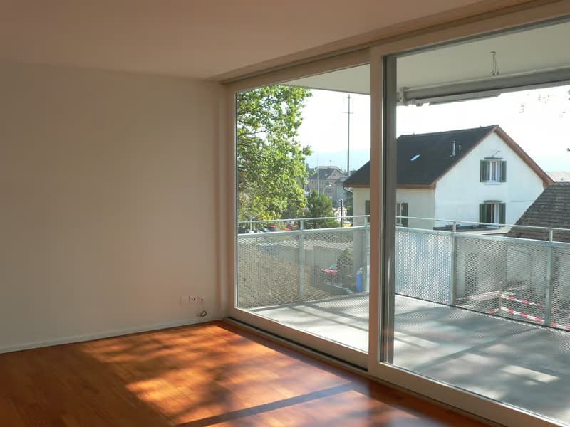 Helle 4.5-Zimmer-Wohnung mit Balkon in Dübendorf – sofort verfügbar! (8)