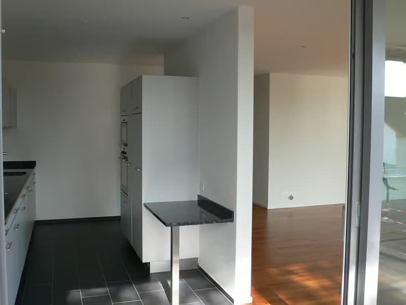 Helle 4.5-Zimmer-Wohnung mit Balkon in Dübendorf – sofort verfügbar! (10)