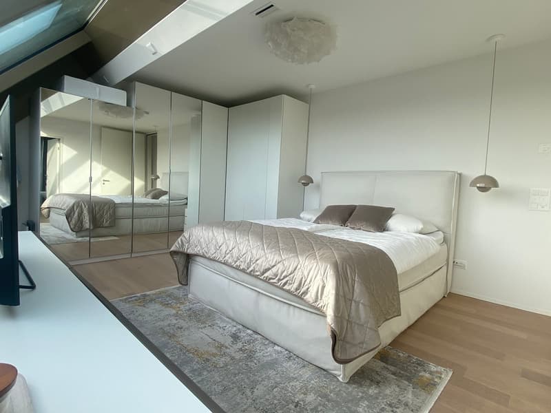 TOWNHOUSE Winterthur - Exklusive 2,5-Zimmer-Attika-Dachmaisonettewohnung (1)