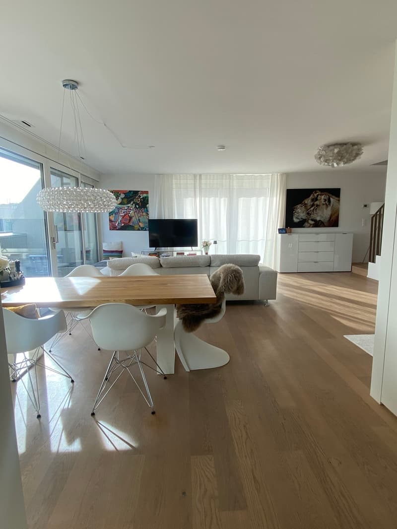 TOWNHOUSE Winterthur - Exklusive 2,5-Zimmer-Attika-Dachmaisonettewohnung (10)
