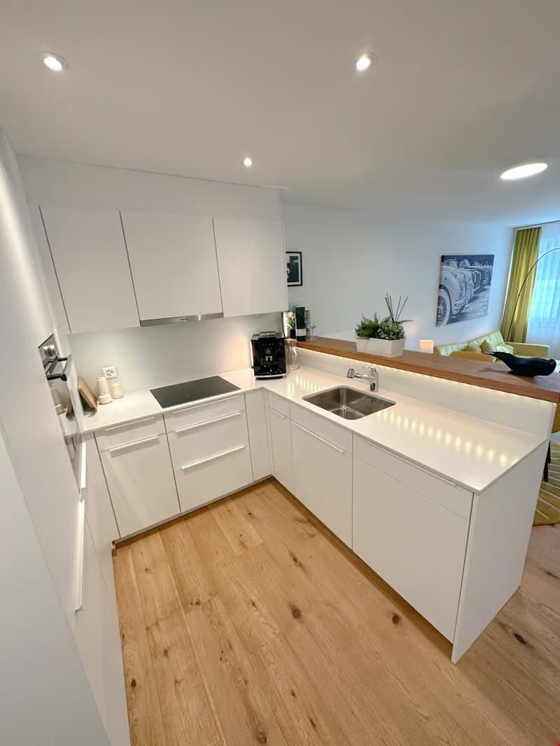 Gemütliche 2.5-Zimmer-Wohnung mit Balkon in Luzern (4)