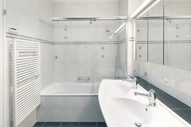 Helle 4.5-Zimmer-Wohnung mit Balkon in Zug – ab sofort verfügbar! (4)