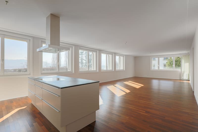 Grosszügige 4.5-Zimmer-Wohnung mit Aussicht in Luzern (2)