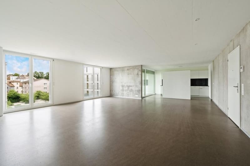 Helle 2.5-Zimmer-Wohnung mit Balkon in Aarau – sofort verfügbar! (5)