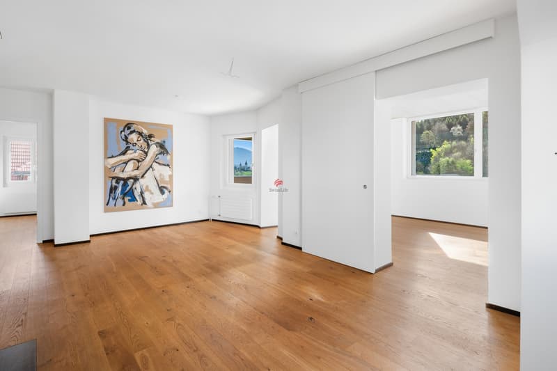 Helle 3-Zimmer-Wohnung mit Balkon und herrlicher Aussicht in Luzern (7)