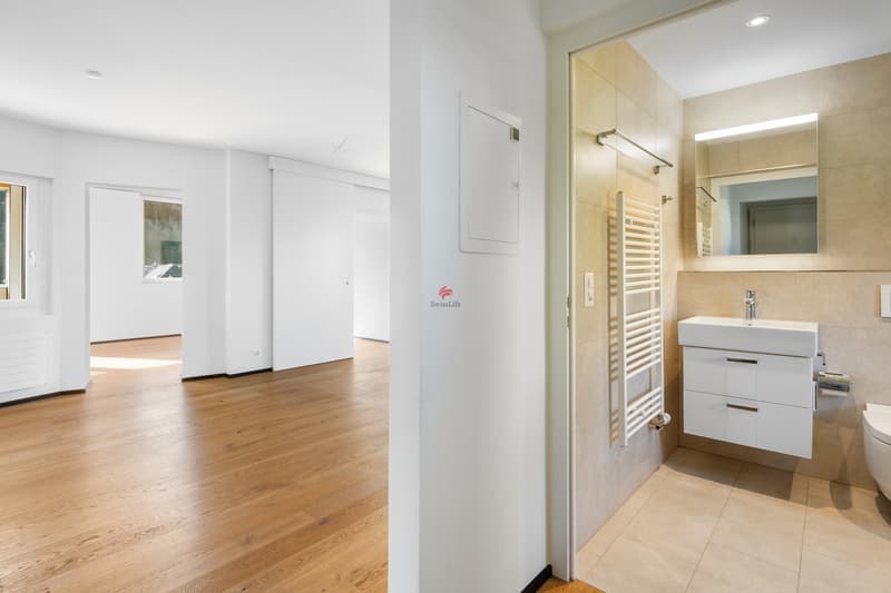 Helle 3-Zimmer-Wohnung mit Balkon und herrlicher Aussicht in Luzern (5)