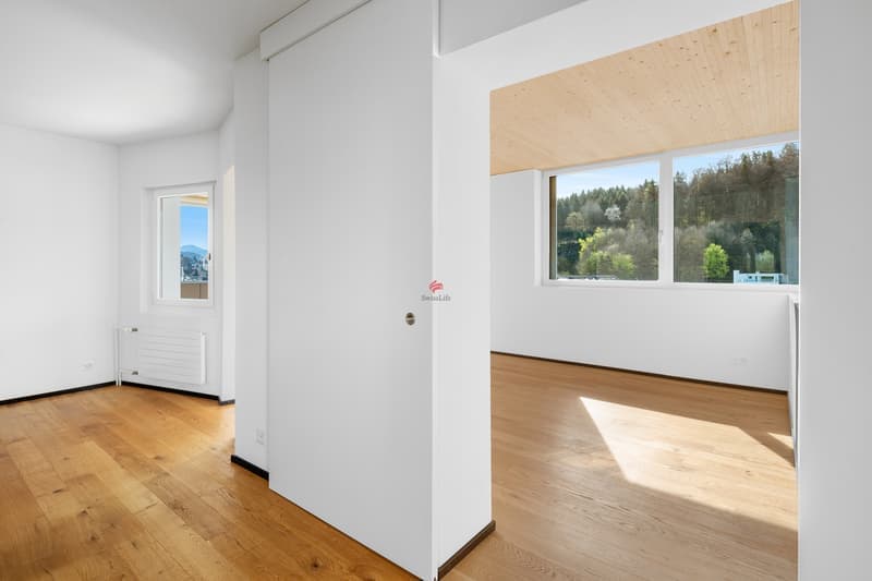 Helle 3-Zimmer-Wohnung mit Balkon und herrlicher Aussicht in Luzern (1)