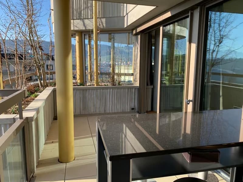 Moderne 3.5-Zimmer-Wohnung mit Balkon und Bergblick in Risch-Rotkreuz (1)