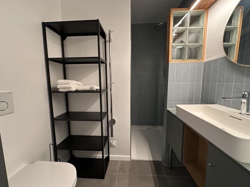 Appartement avec terrasse/jardin, dans Nyon et proche du lac (8)