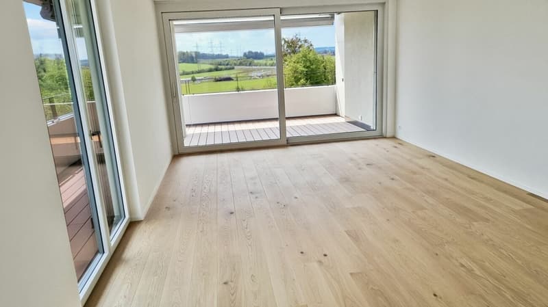 Helle 3.5-Zimmer-Wohnung mit Balkon im Lorzenpark, Cham (1)