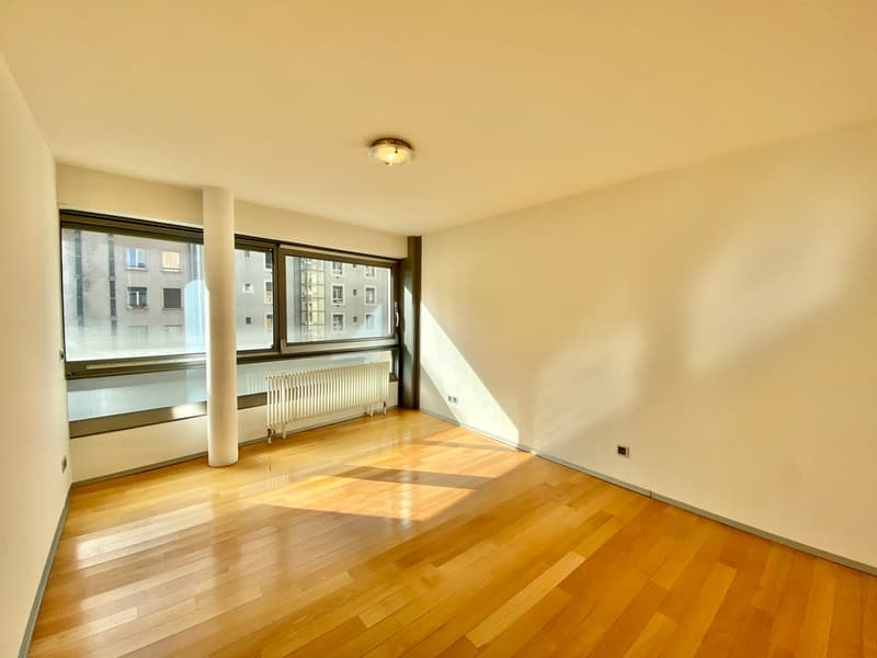 Splendide appartement contemporain idéalement situé près du Lac Léman (8)