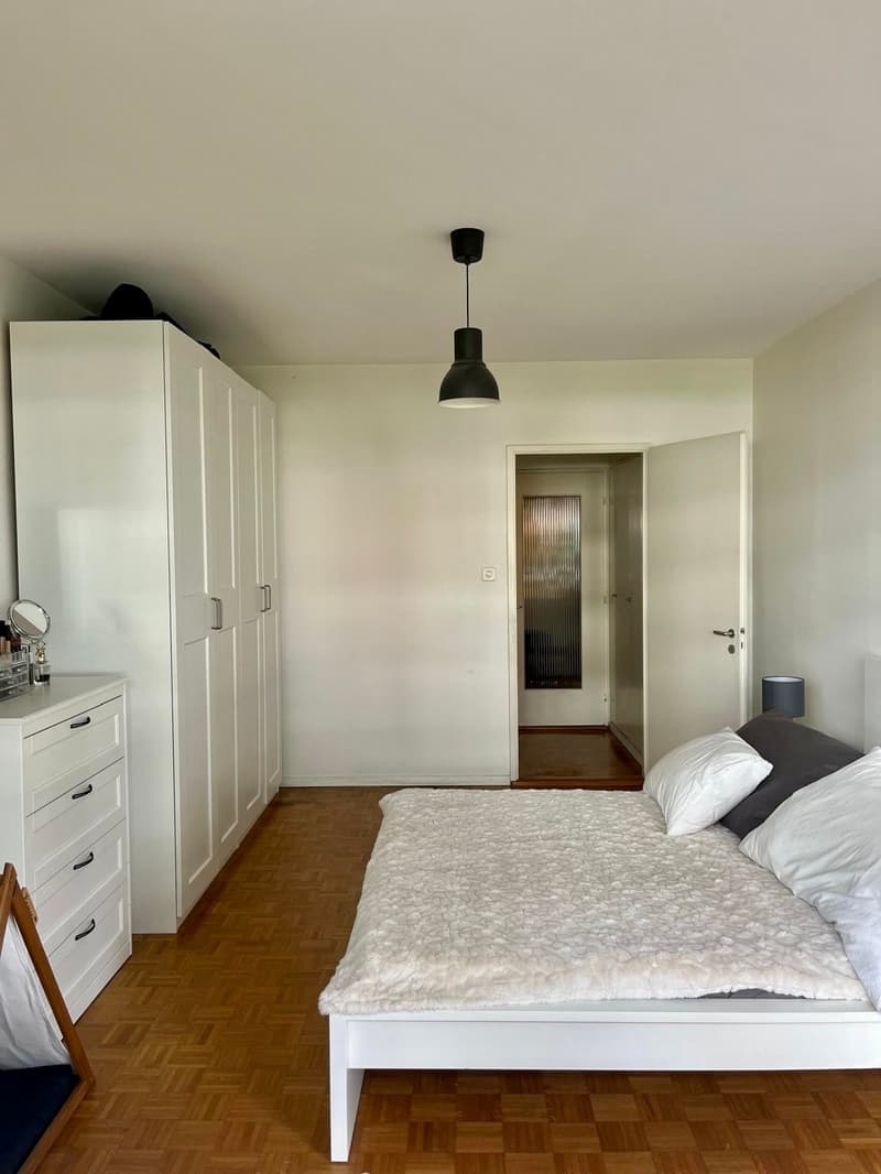 Apartment 3.5 Rooms (1)