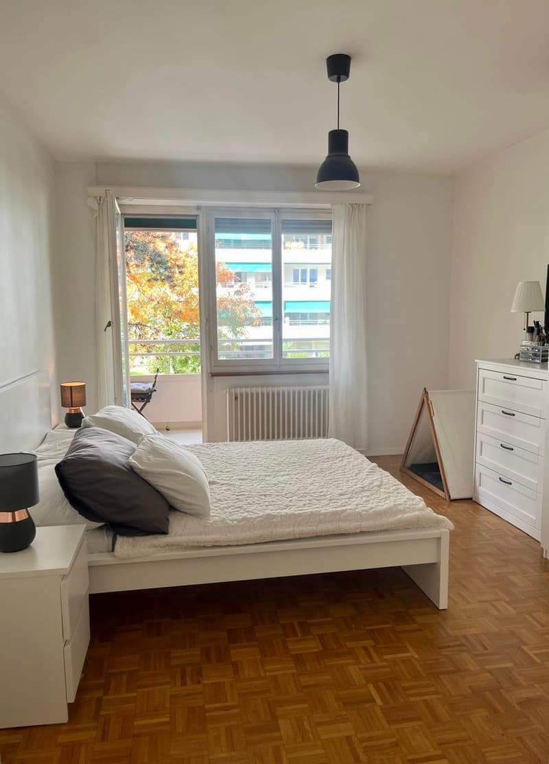 Apartment 3.5 Rooms (14)