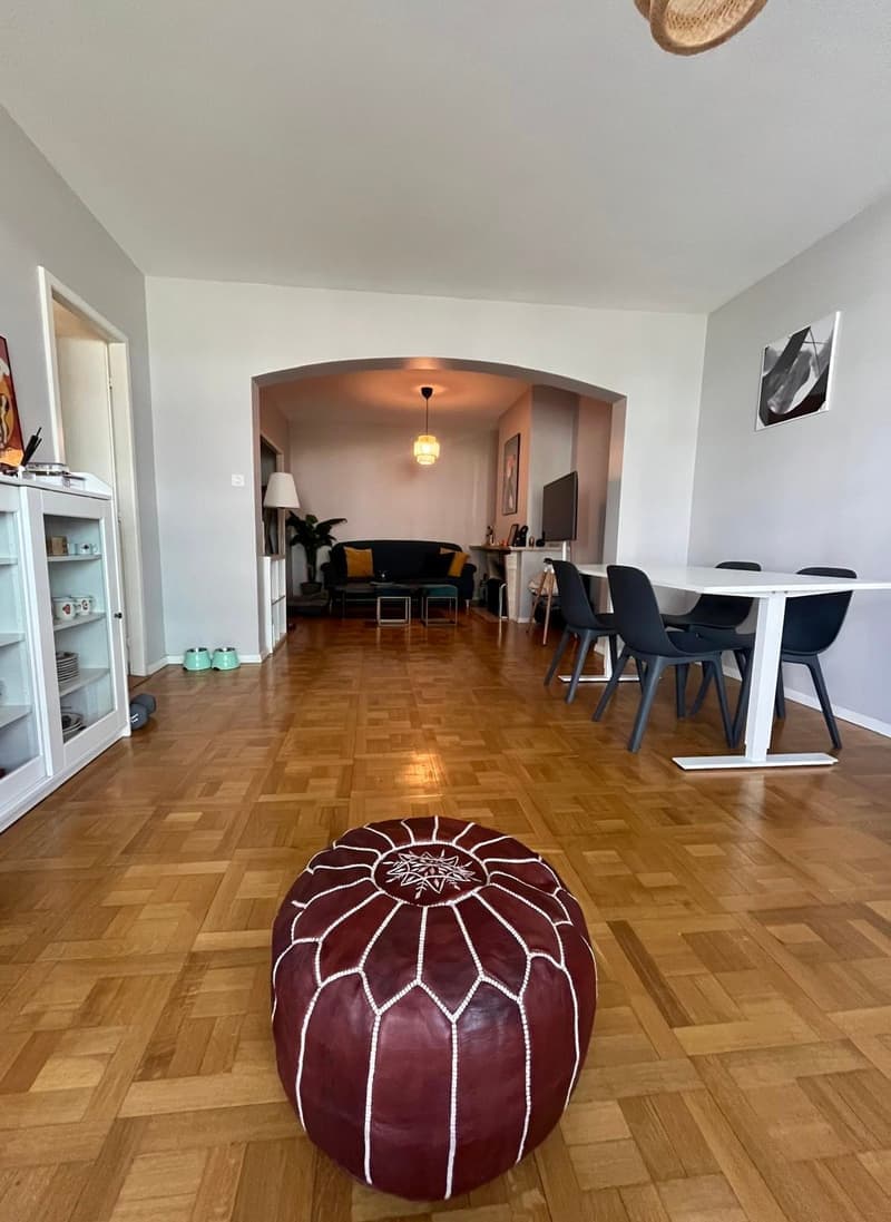 Apartment 3.5 Rooms (13)