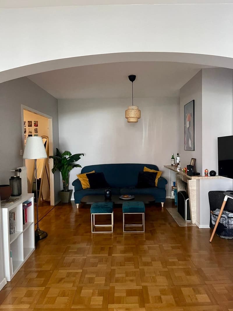 Apartment 3.5 Rooms (7)