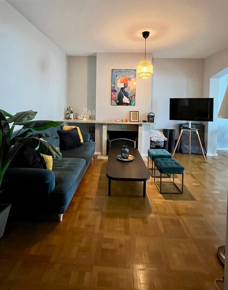 Apartment 3.5 Rooms (10)
