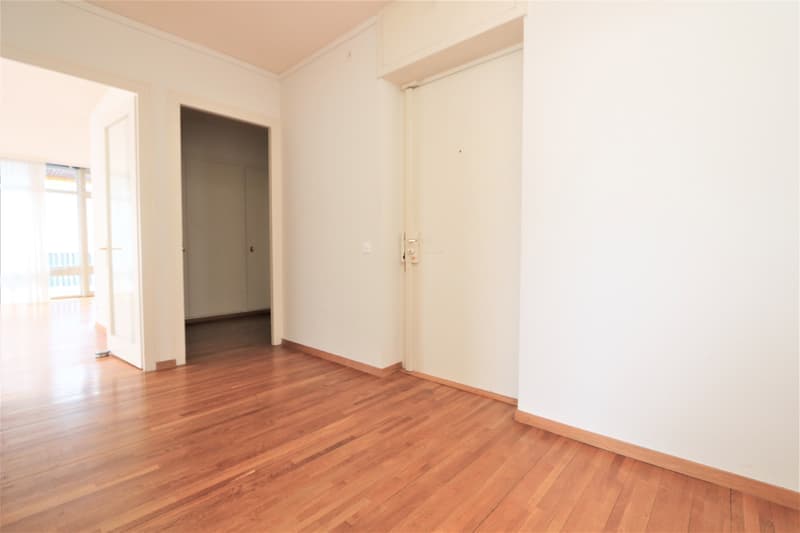 Spacieux appartement de 5 pièces à louer – Avenue De-Budé, Genève (2)