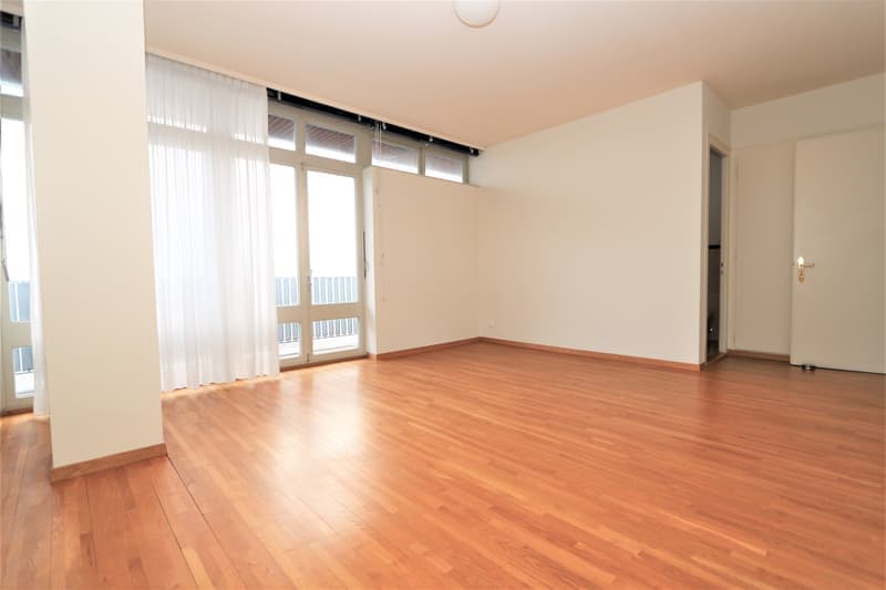 Spacieux appartement de 5 pièces à louer – Avenue De-Budé, Genève (10)
