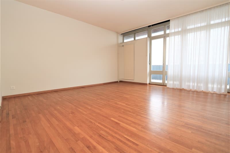 Spacieux appartement de 5 pièces à louer – Avenue De-Budé, Genève (4)
